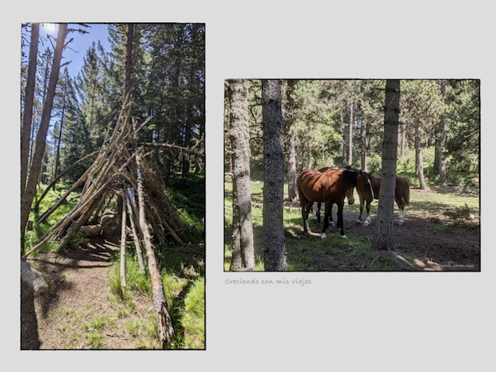 cabanas y caballos en el Petit Canada - Le Petit Canada